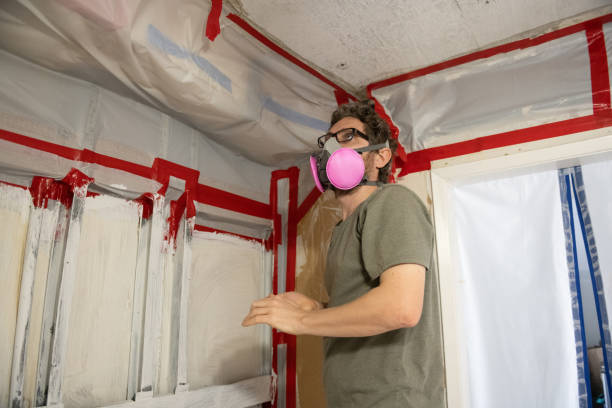  Gunbarrel, CO Mold Removal Pros